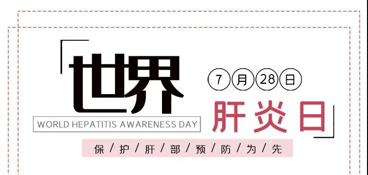 世界肝炎日——積極預(yù)防，主動檢測，規(guī)范治療，全面遏制肝炎危害！