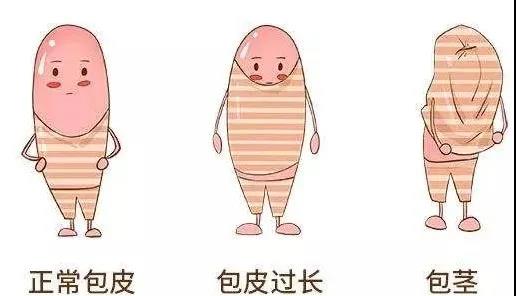 【保山安利醫(yī)院】家長(zhǎng)速看！暑期包皮手術(shù)預(yù)約正當(dāng)時(shí)！